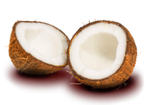 cocco