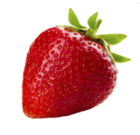 fragola